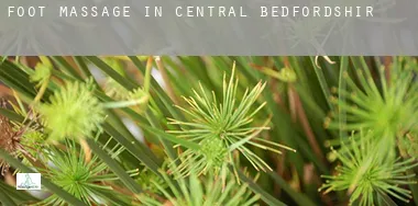 Foot massage in Central Bedfordshire